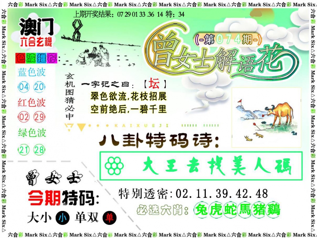 074期曾女士解语花[图]