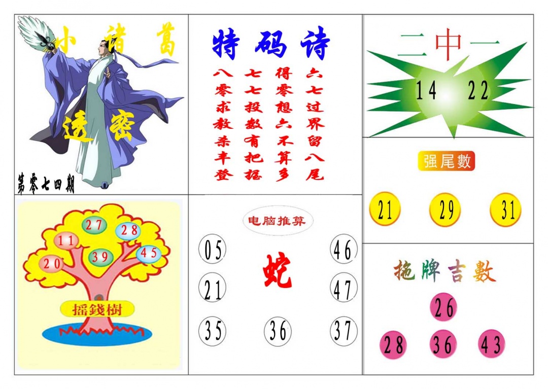 074期小诸葛[图]