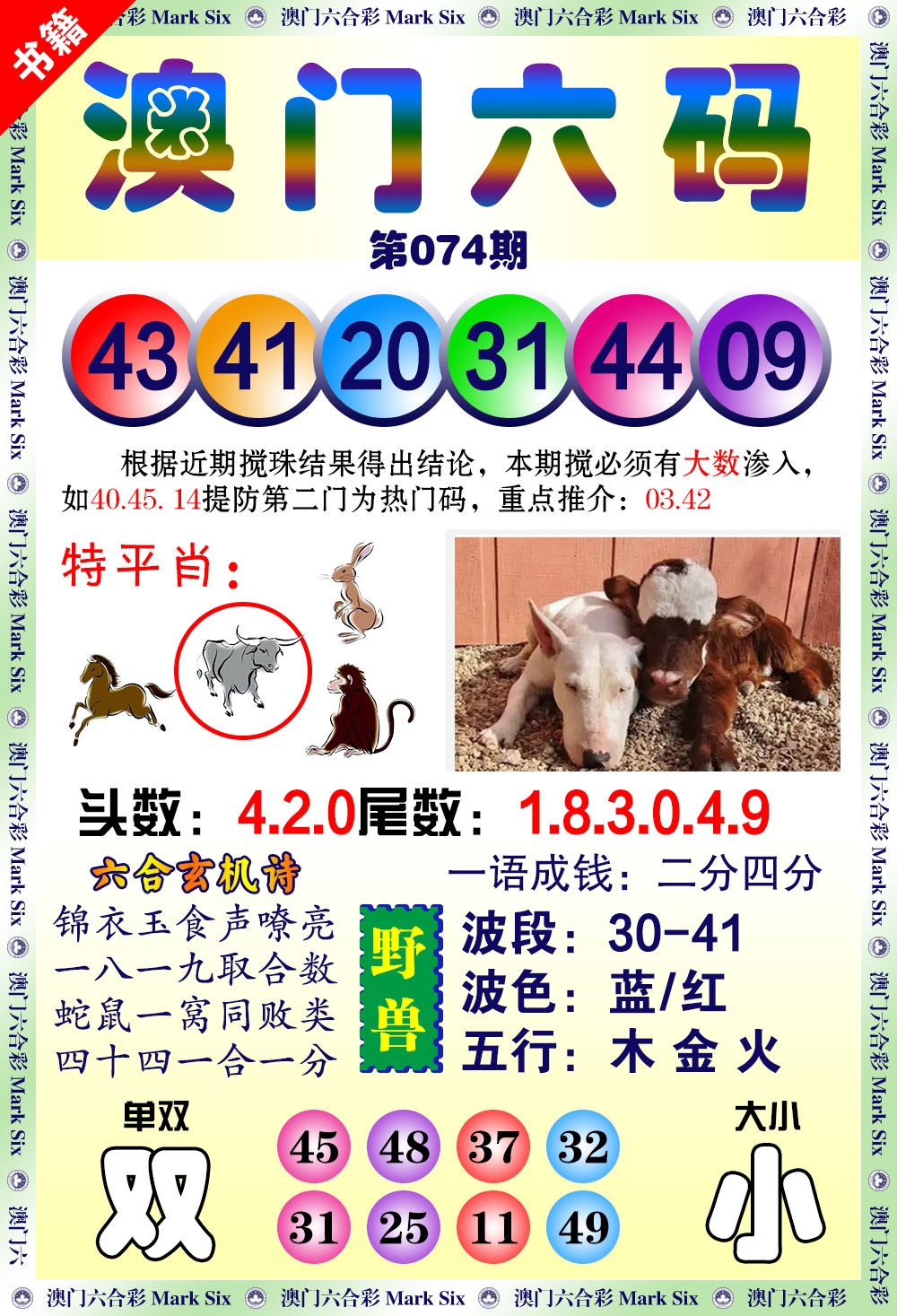 074期澳门望子成龙[图]