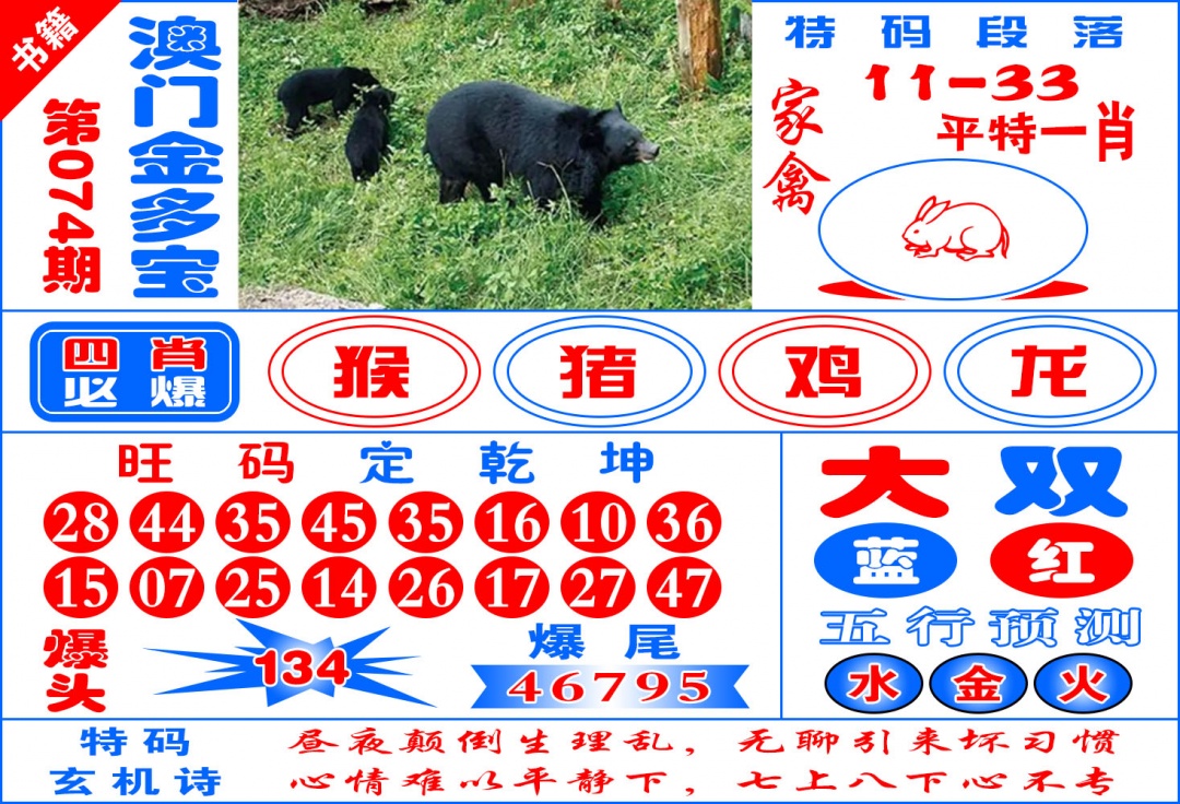074期澳门金元宝[图]