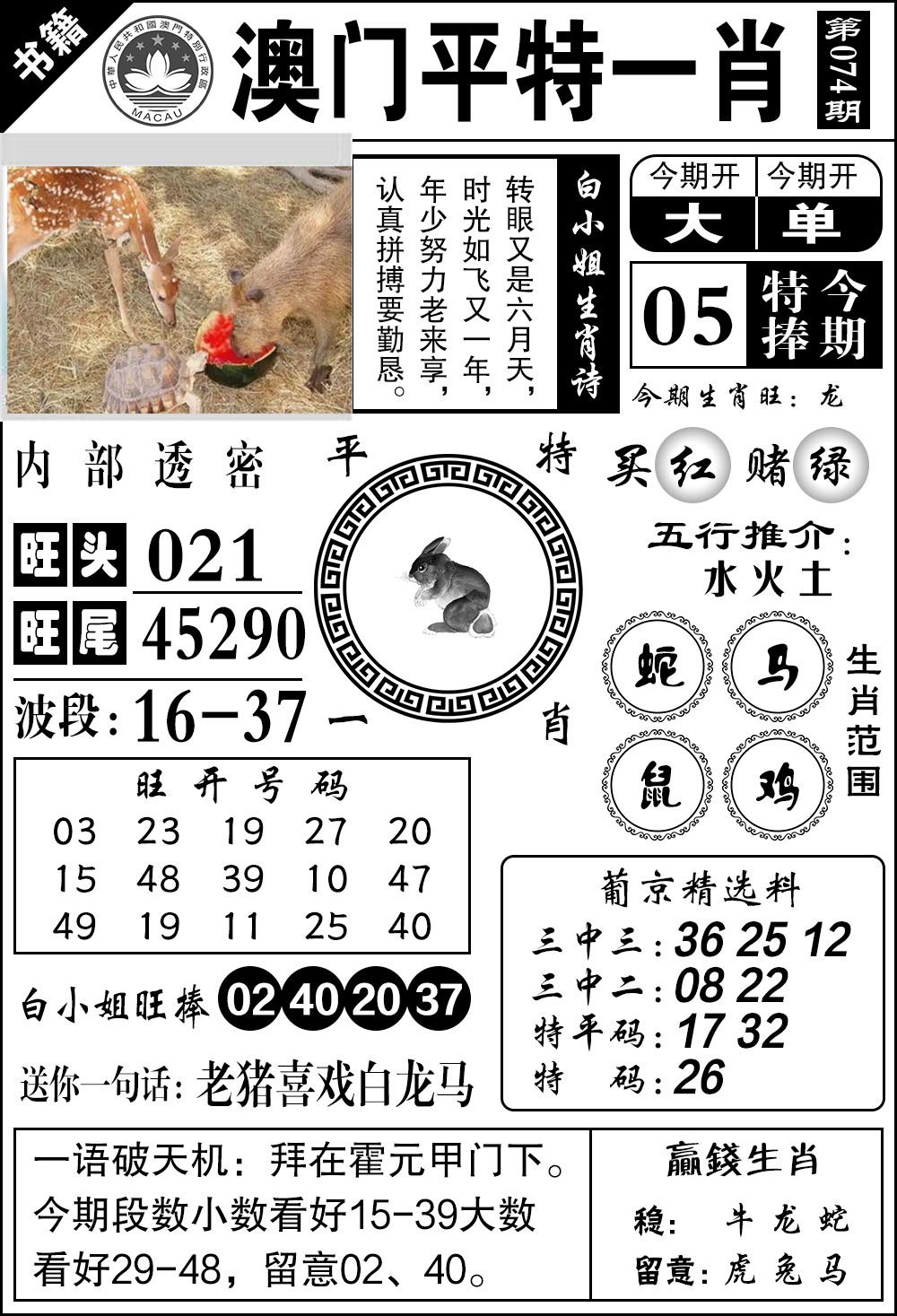 074期澳门内部透密[图]