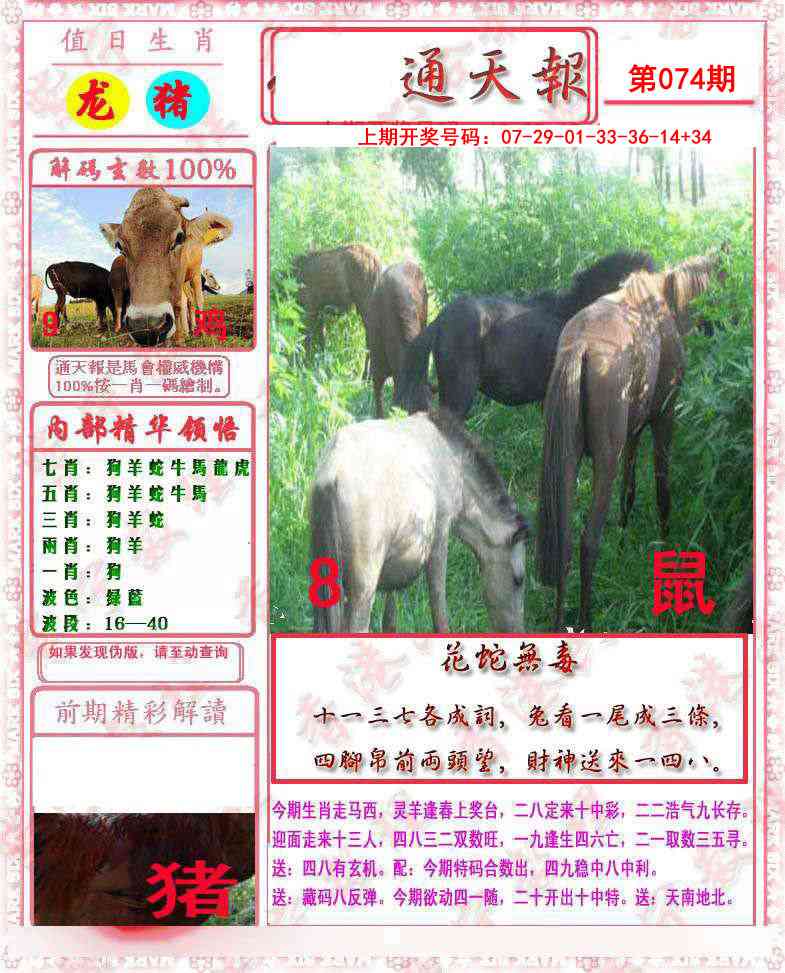 074期马经通天报[图]
