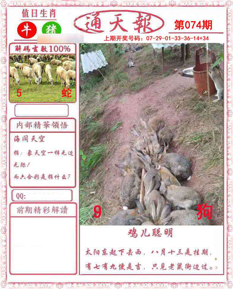 074期正版通天报[图]