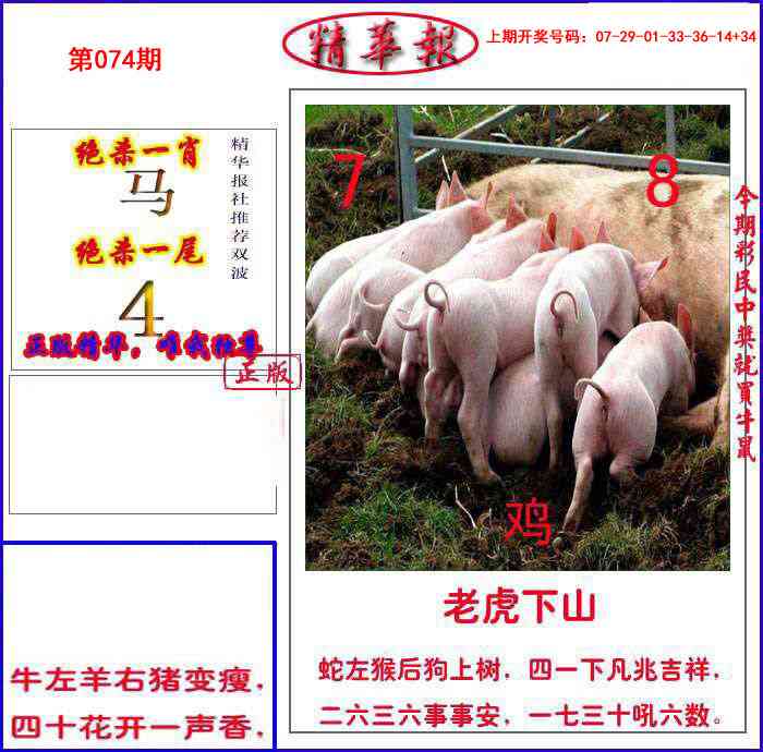 074期新精华报报[图]