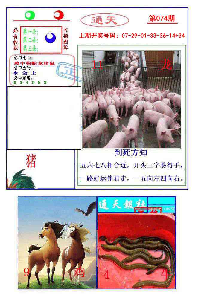 074期通天杀波图2[图]