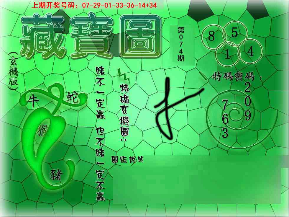 074期九龍玄机报[图]