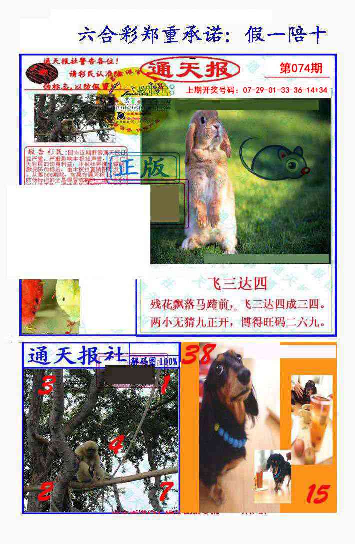 074期假一陪十通天报[图]