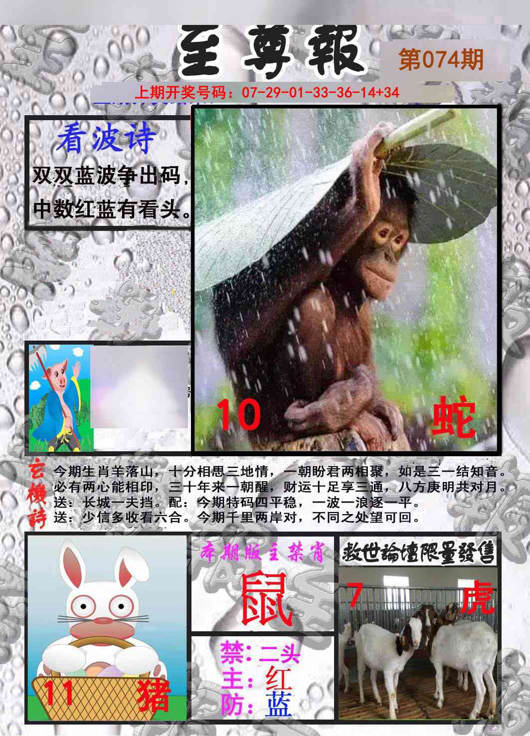 074期至尊报[图]