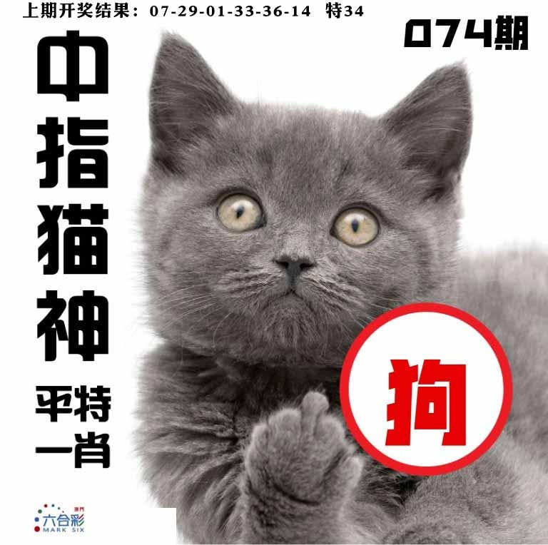 074期中指猫神[图]